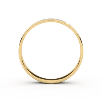 Set trouwringen 18kt geel/wit goud