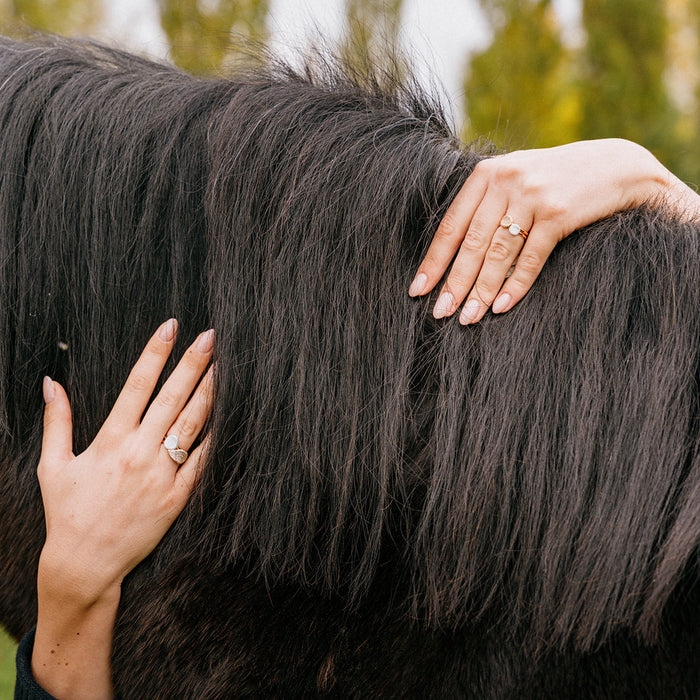 Ring Bigli 18 kt roos goud - Mini leaves